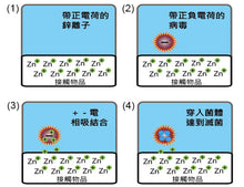 將圖片載入圖庫檢視器 ZT 納米鋅離子