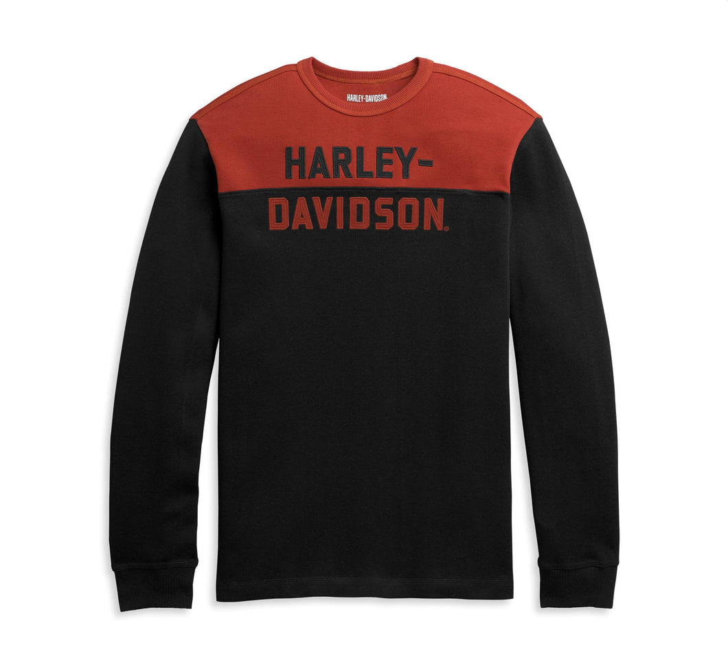 Harley Davidson 男裝T-恤 (96314-21VM)